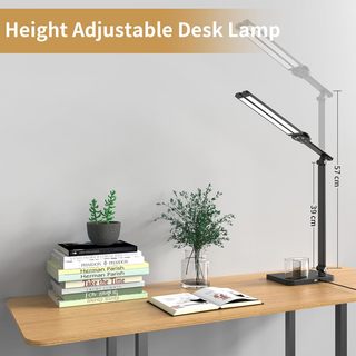 VENEZINA Dual-Head 3-Color LED Desk Lamp